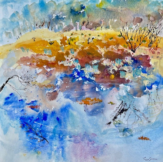 Terry Swann - Salt Pan, Kangaroo Island