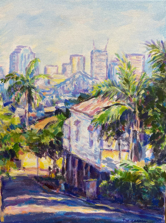 Tim Graham - New Farm to the City