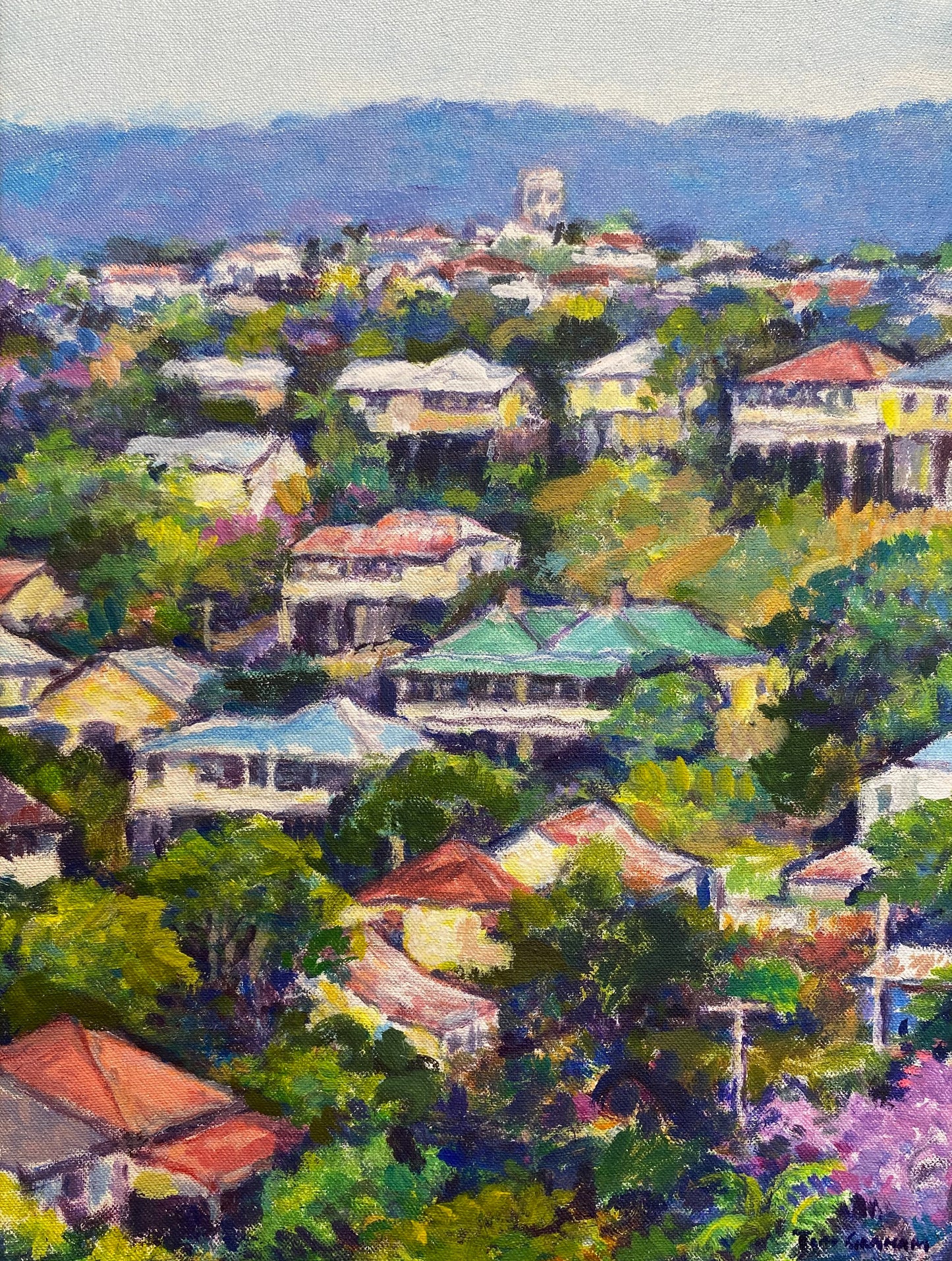 Tim Graham - View from Red Hill