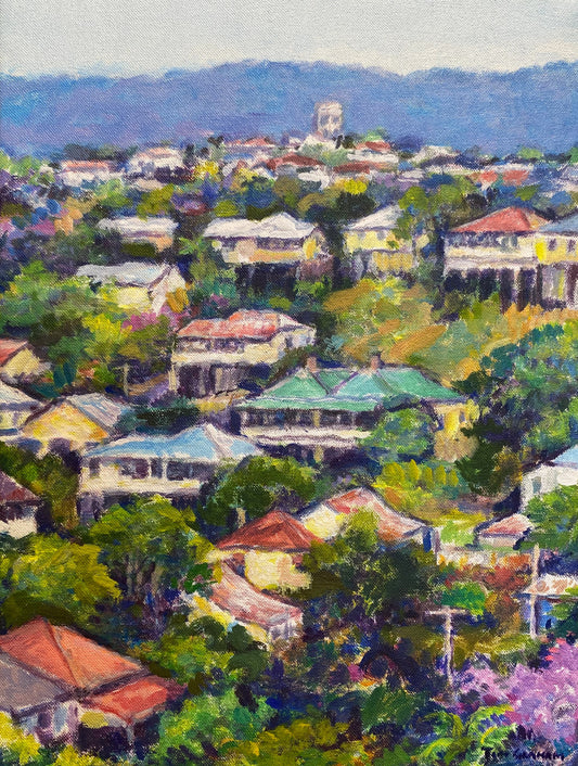 Tim Graham - View from Red Hill