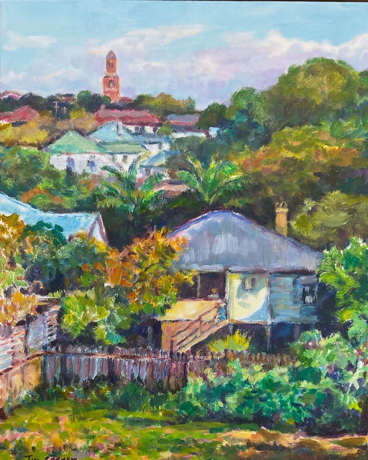 Tim Graham - Backyards in New Farm