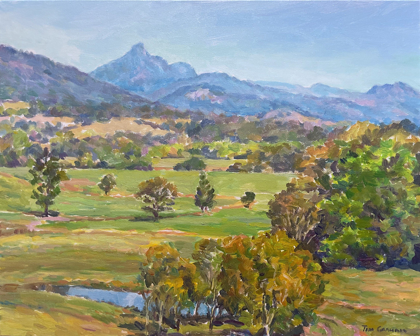 Tim Graham - Country Day on the Tweed