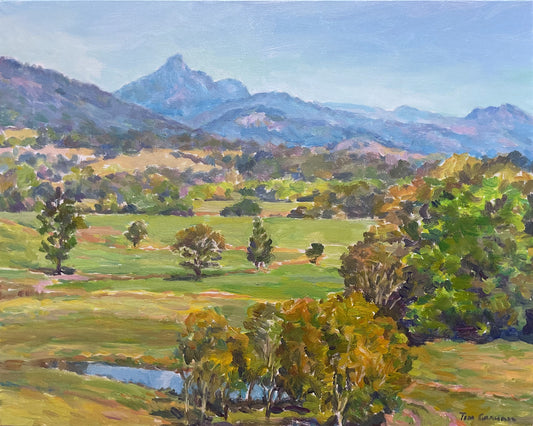 Tim Graham - Country Day on the Tweed