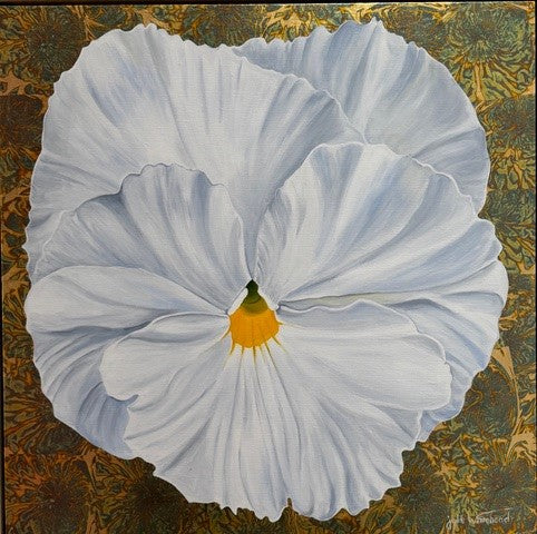 Julie Whitehead - White Pansy