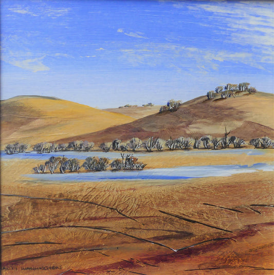 Anni Washington - Water on the Plain