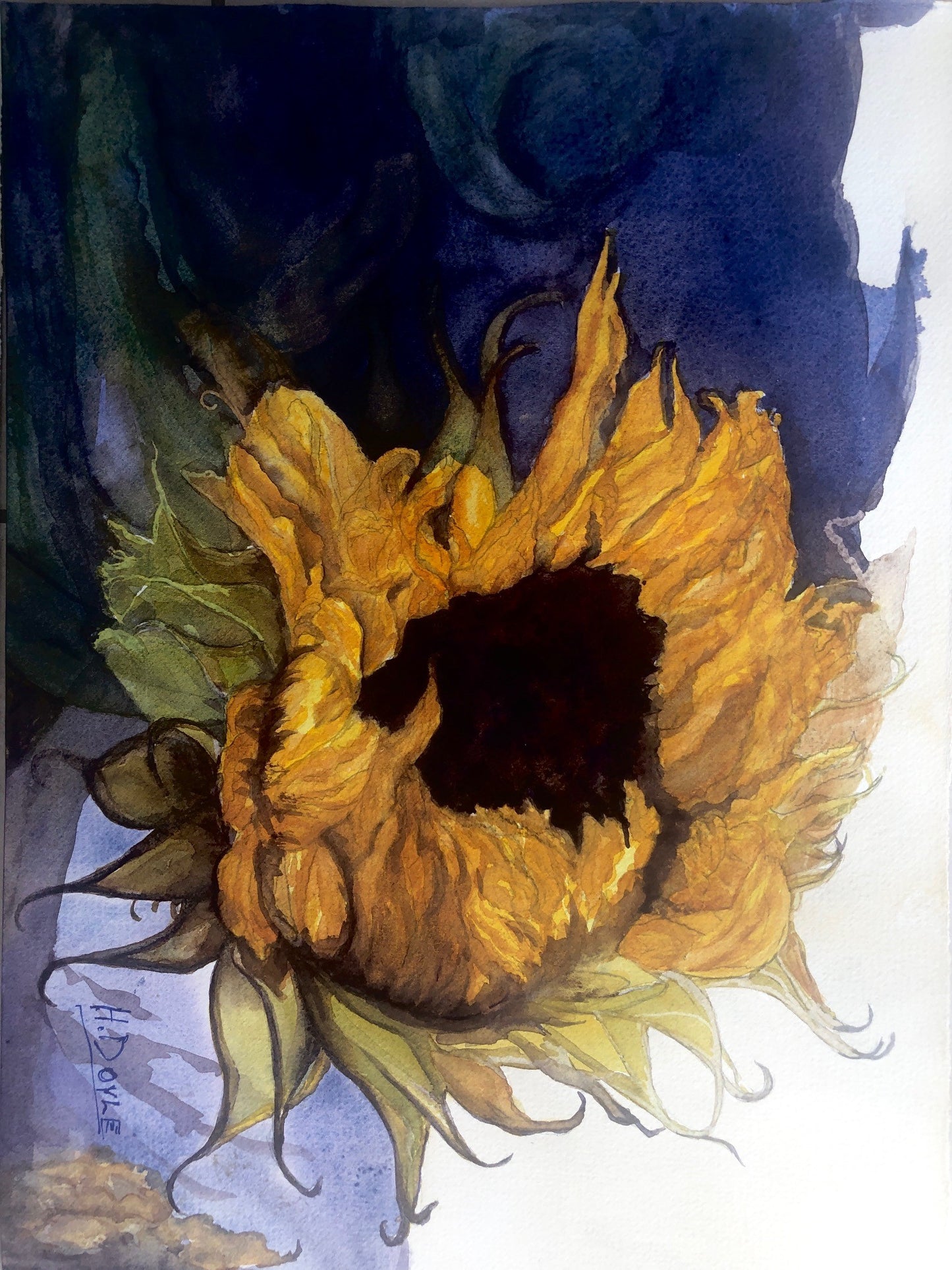 Hetty Doyle - The Sunflower