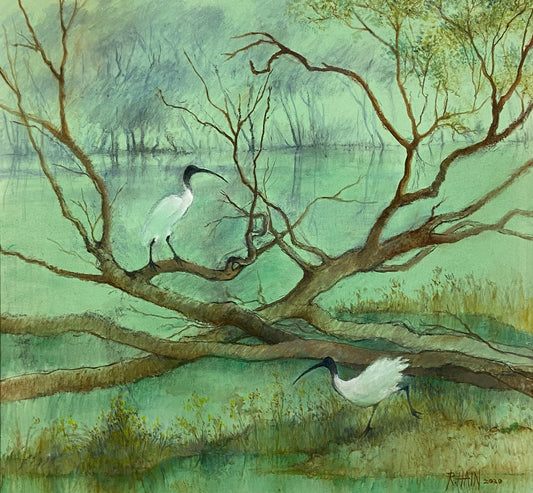 Rosemary Hain - Wetland with Two Ibis