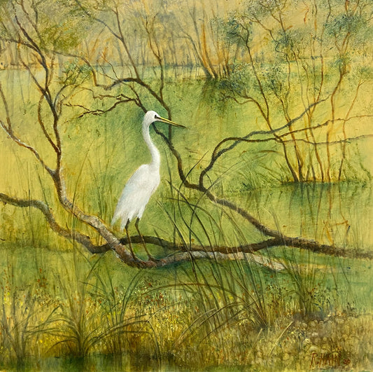 Rosemary Hain - Egret in Wetlands