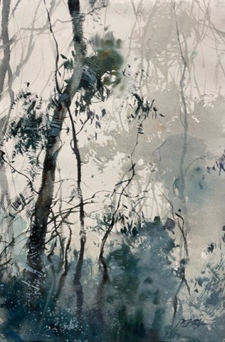 Herman Pekel - Morning Mist, Mt Tamborine