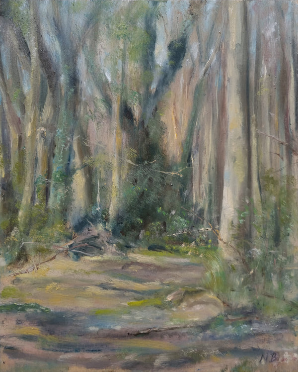 Nathaniel Boyd - Enchanted Forest – Red Hill Gallery