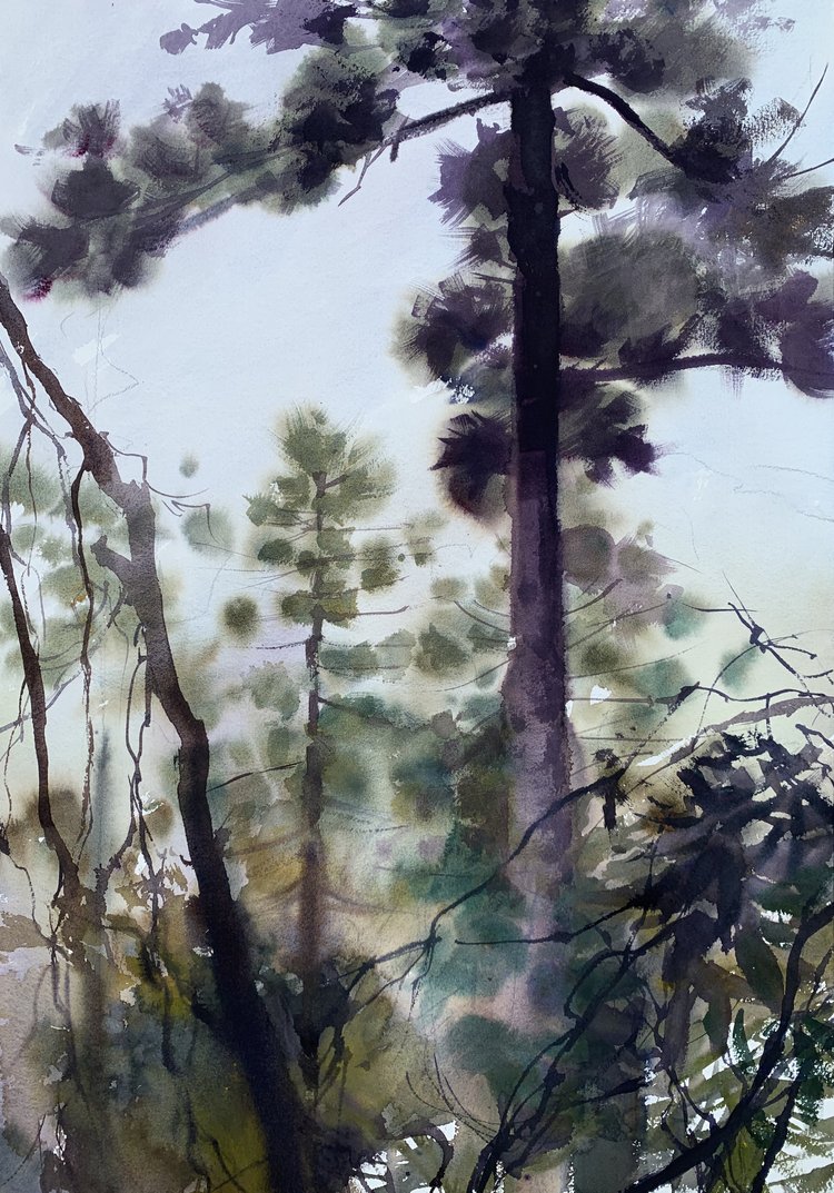 Szczepan Urbanowicz - Bunya